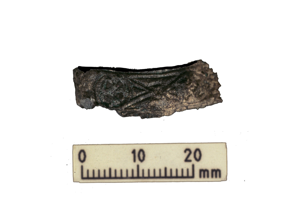 Versierde gevestbeschermer van een zwaard, gevonden in hetzelfde graf als de menselijke en dierlijke resten uit het onderzoek (Foto Julian Richards, Universiteit van York)