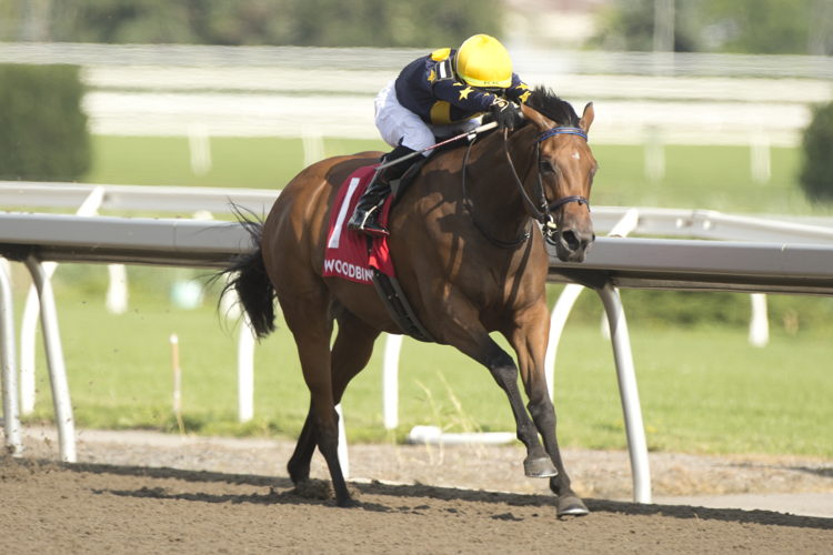 Loyalty and jockey Kazushi Kimura winning the Hendrie Stakes on July 22, 2023 at Woodbine (Michael Burns Photo)