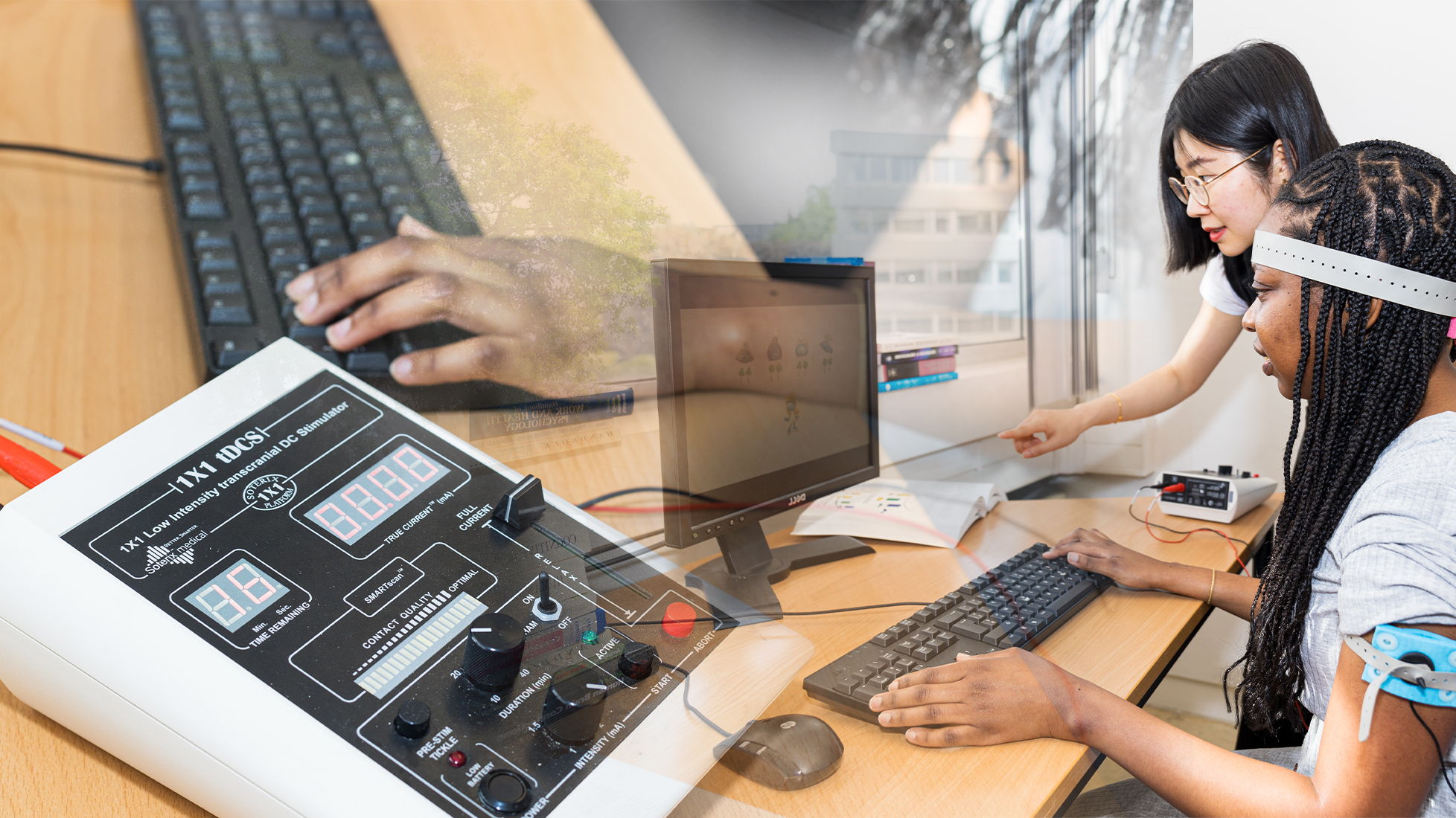 VUB Research Highlights Crucial Role of Cerebellum in Social and Cognitive Functioning
