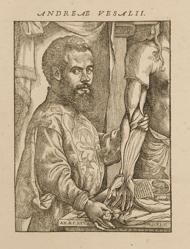 Portret van Andreas Vesalius in: Andreas Vesalius, De Humani Corporis Fabrica Libri Septem, Basel, 1543 © KU Leuven, Universiteitsbibliotheek, inv. CaaC17 – Bruno Vandermeulen.