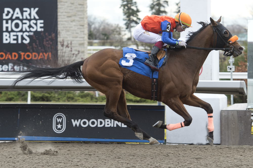 Belentime and jockey Kazushi Kimura winning Race 1 on November 25, 2022 at Woodbine (Michael Burns Photo)