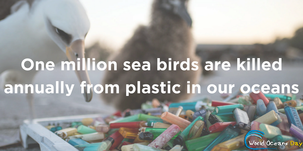 World Oceans Day graphic