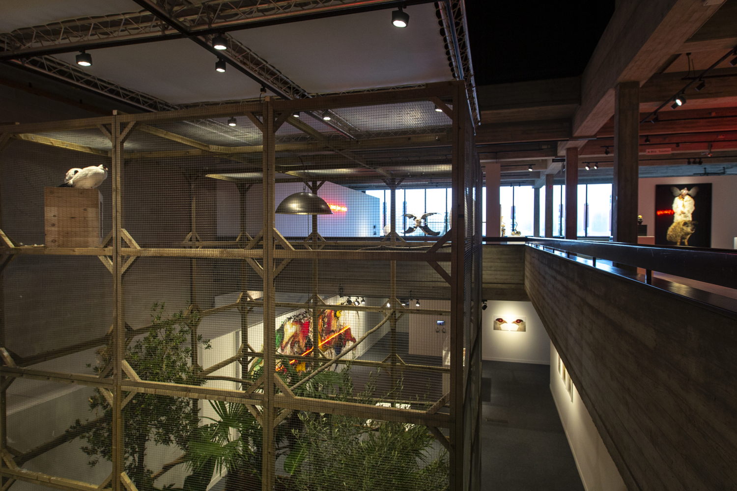 CosmopolitanRenaissance_KoenVanmechelen_photoStudioLeyssen10