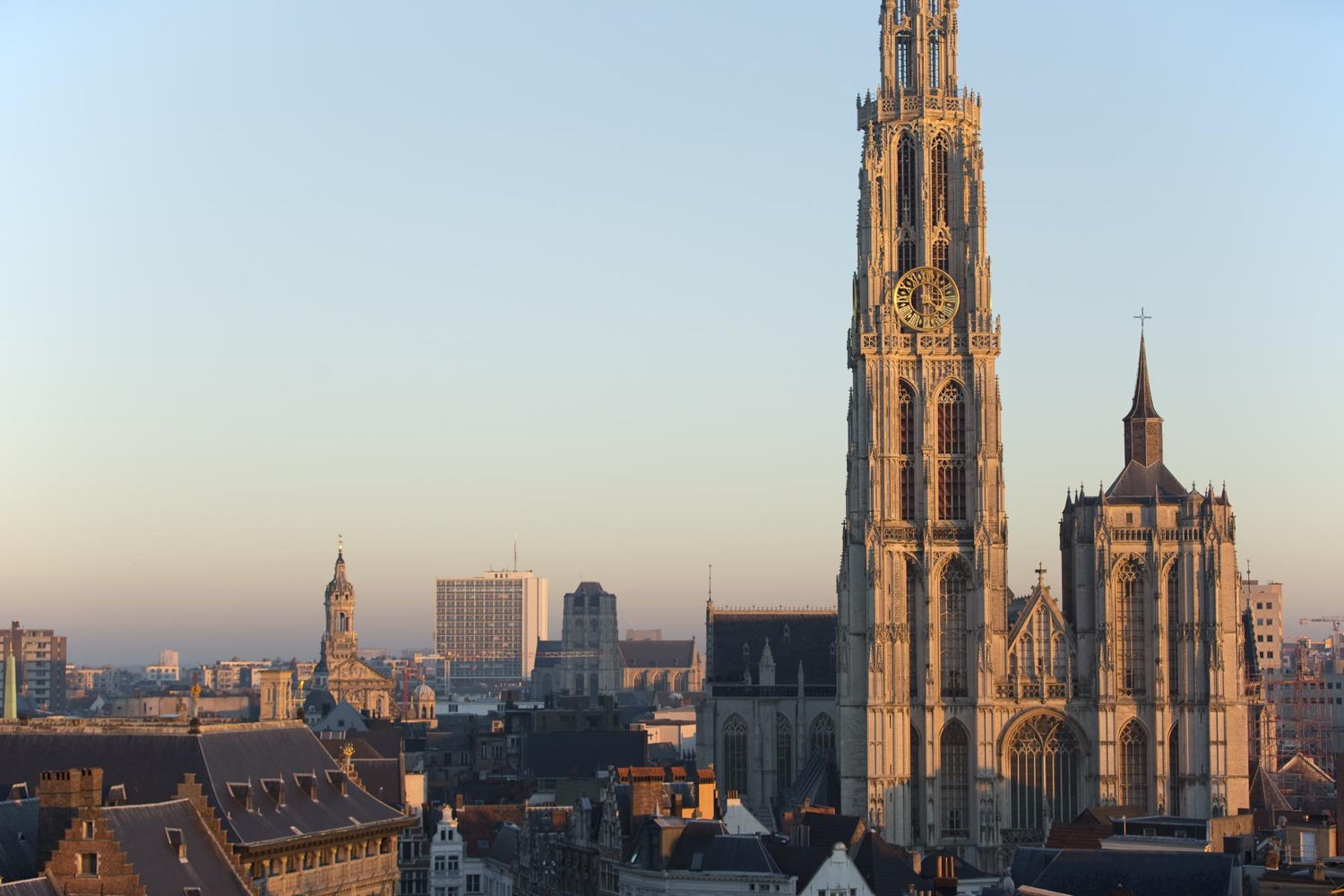 O.L.V. Kathedraal Antwerpen - Onderwijs en/in de kathedraal