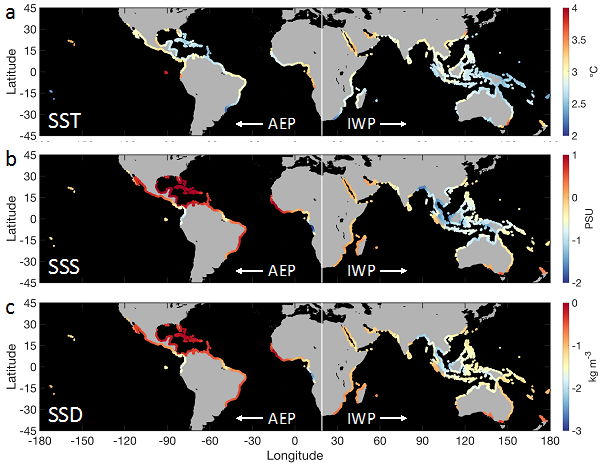 Global map showing the change in (a) sea surface temperature (SST), (b) salinity (SSS), and (c) density (SSD) across mangrove bioregions under RCP 8.5. Changes in SST and SSS are based on present-day (2000–2014) and future (2090–2100) marine fields from the Bio-ORACLE database, from which SSD data were derived. The vertical line (19° E) separates the two major mangrove bioregions: the Atlantic-East Pacific (AEP) and the Indo-West Pacific (IWP). 