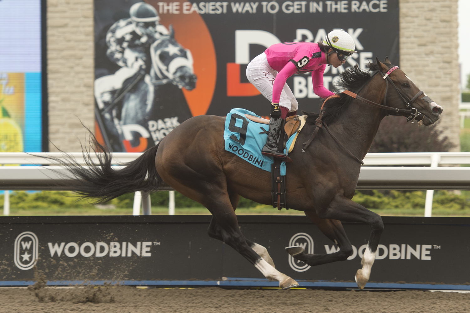 Frosted Over, and jockey Kazushi Kimura, put the icing on the Dominion Day Stakes (G3) for trainer Mark Casse at Woodbine. (Michael Burns Photo) 