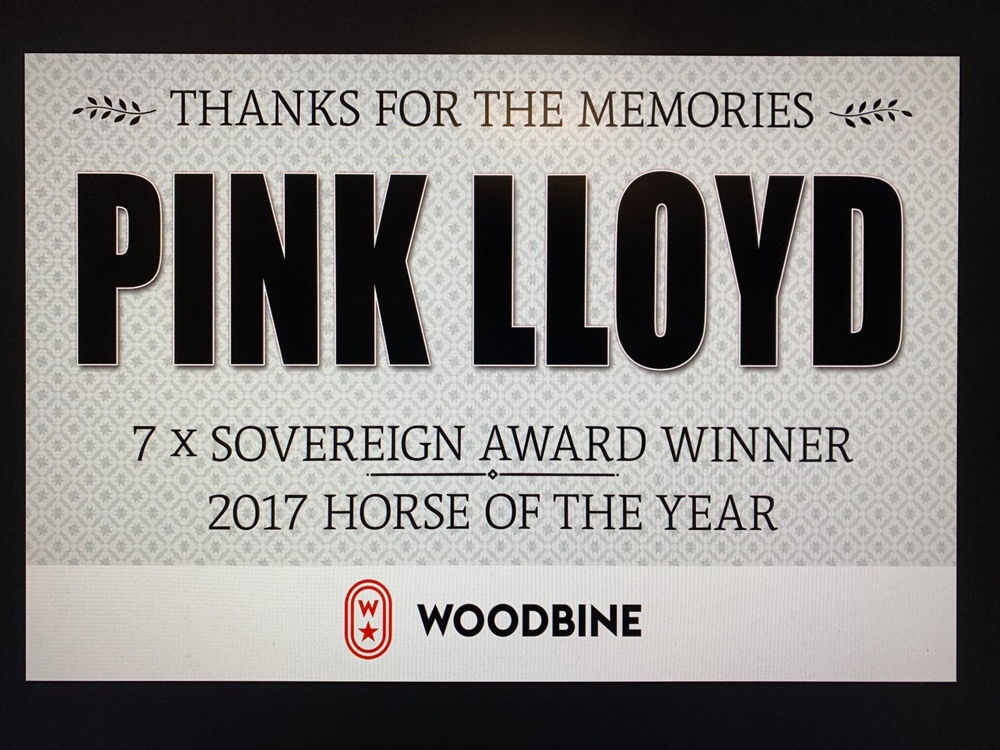 Pink Lloyd commemorative retirment sign. Pink Lloyd commemorative retirment sign.