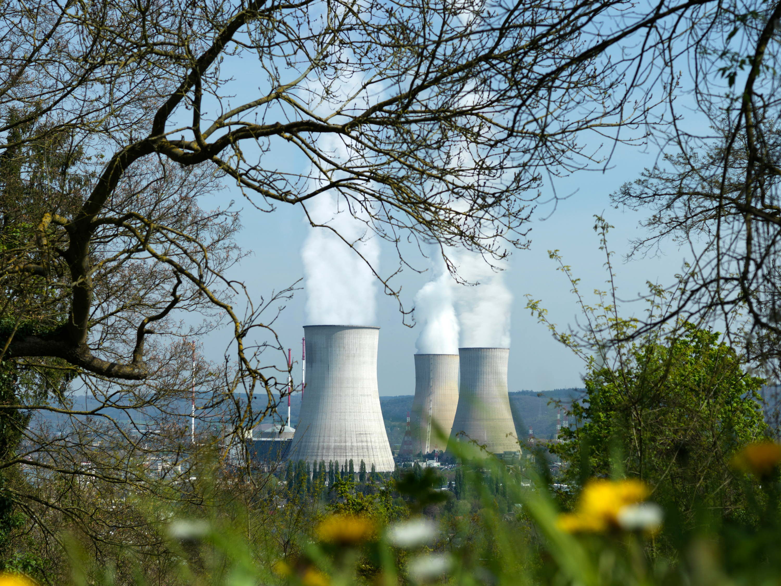 Present situation of the Belgian nuclear power plants: Electrabel’s reaction