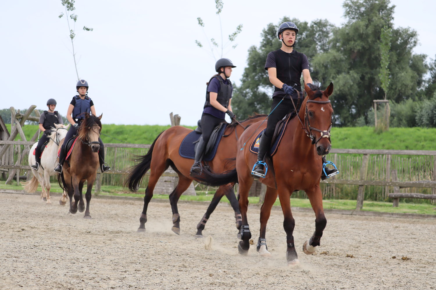Ponykampen De Boerekreek