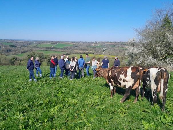 Terreinbezoek in Bretagne in kader van het DivGrass project