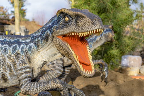 Velociraptor