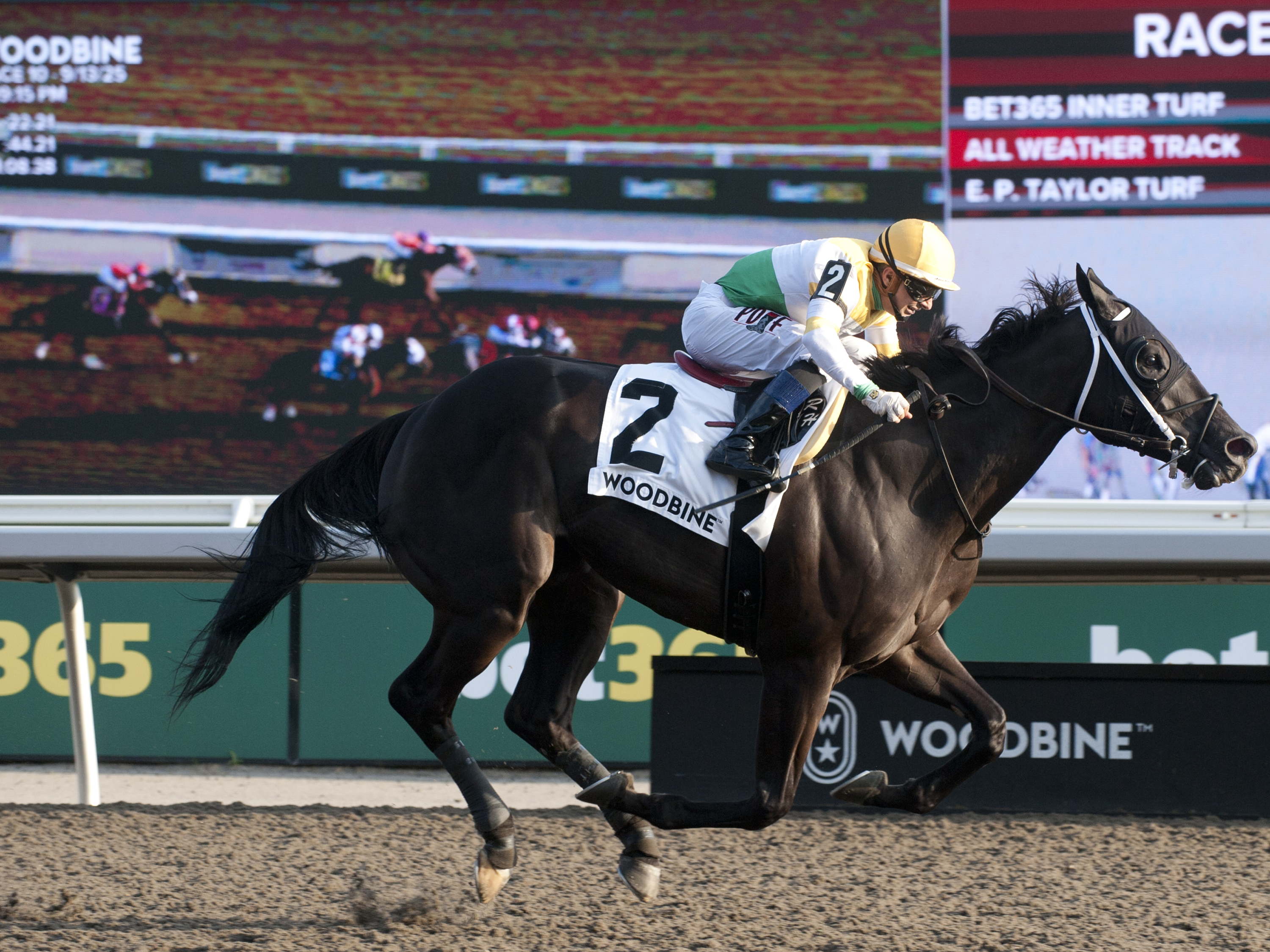 Simcoe sizzles again, this time in Grade 3 Vigil Stakes