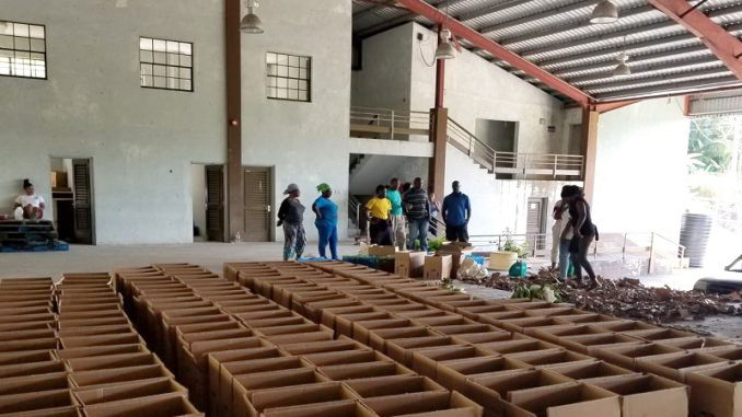 Farmers prepare to pack "Love Boxes" in St. Vincent and the Grenadines