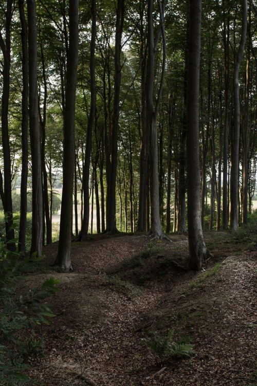 oefenloopgraaf Koppenberg