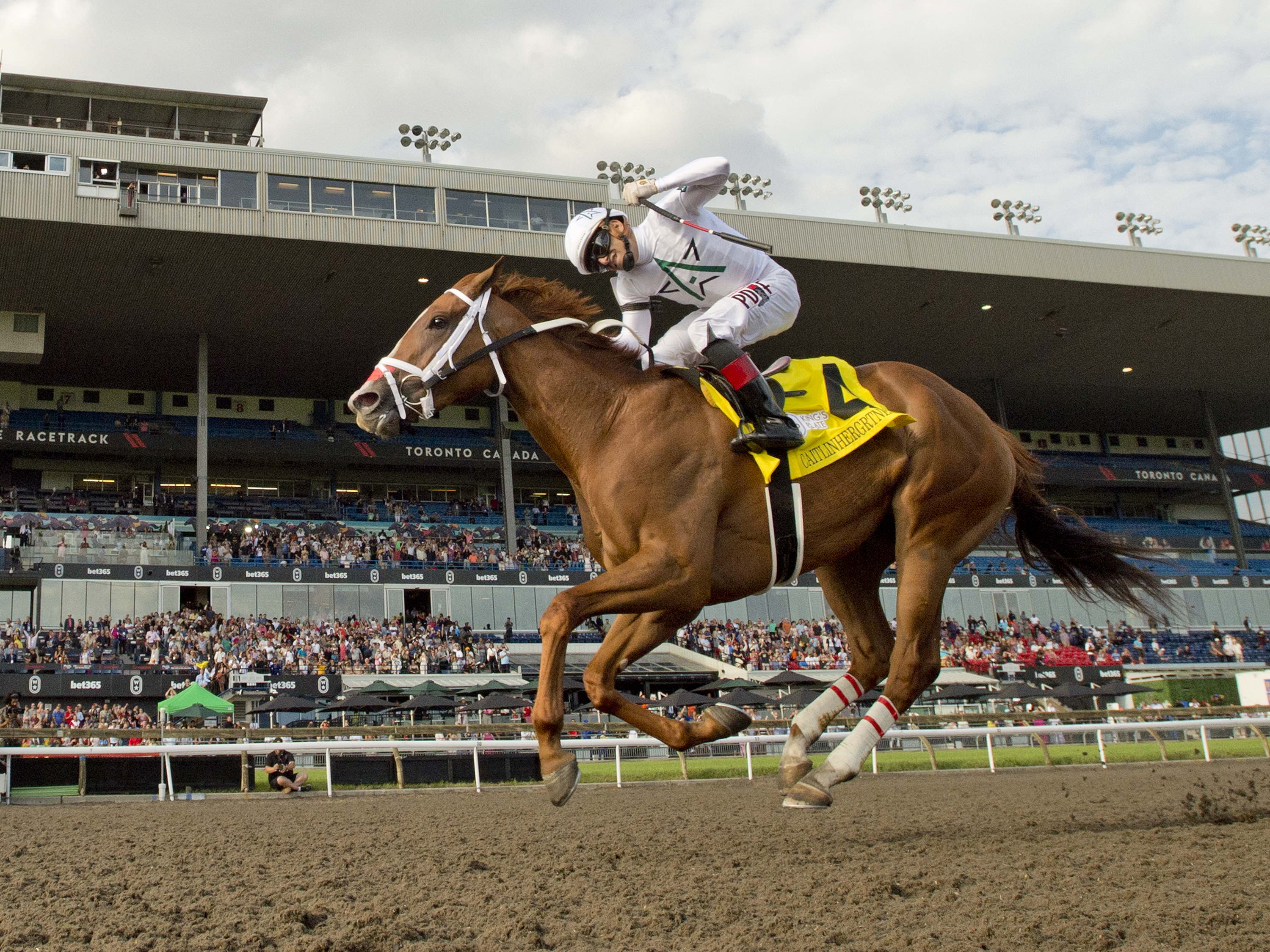 Attard champions Caitlinhergrtness and Fashionably Fab take on seven in Grade 3 Belle Mahone 