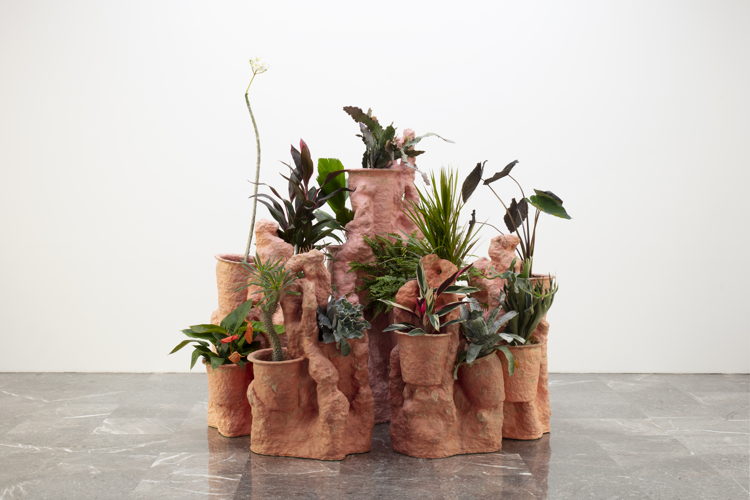 Object for 3 plants, 2022