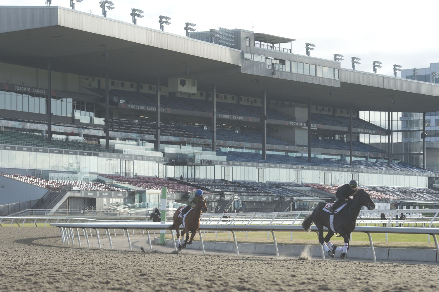 Horses prep for Opening Day 2025 (Michael Burns Photo)