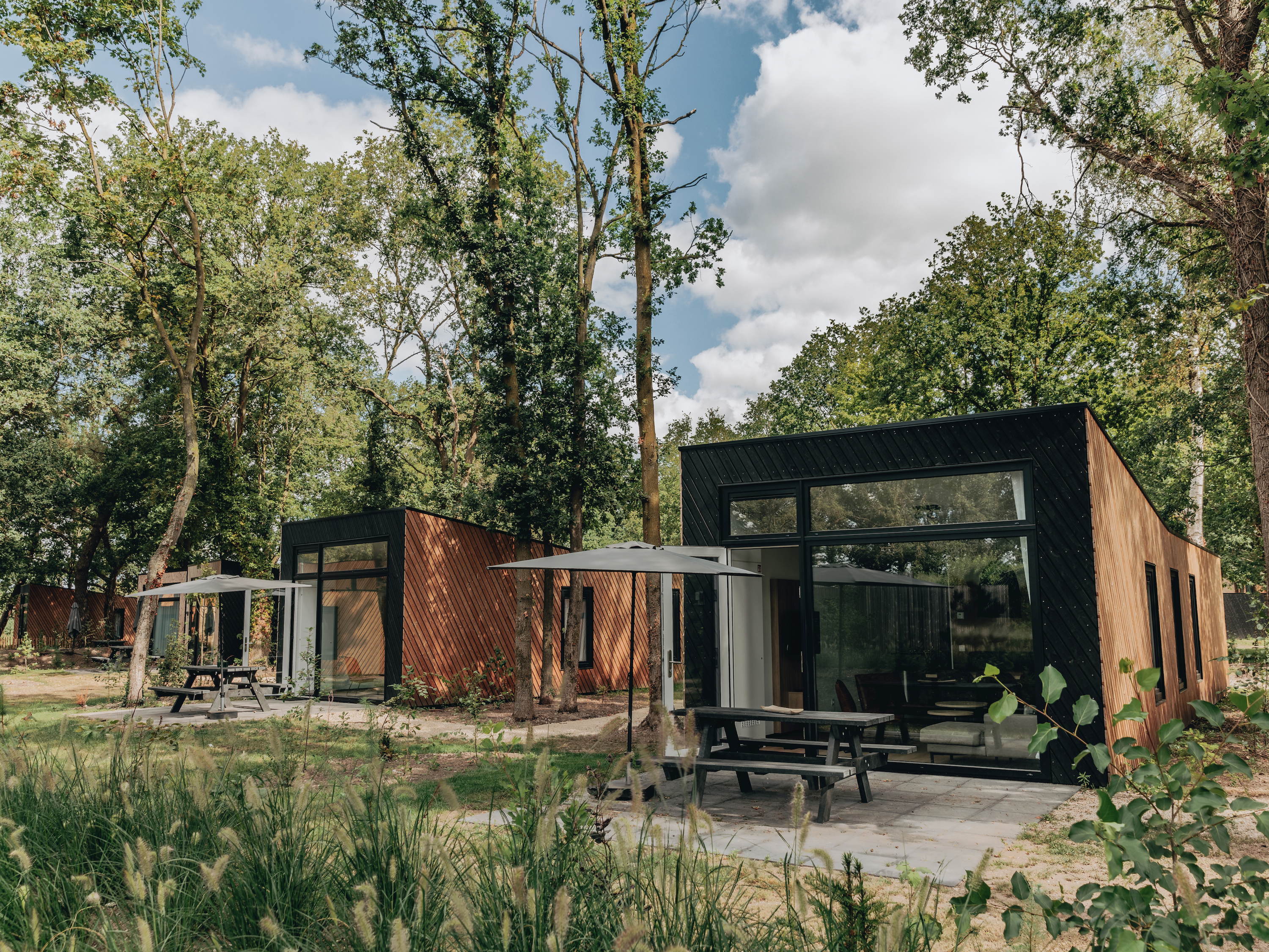 Kies jij voor het strand of het bos dit najaar?