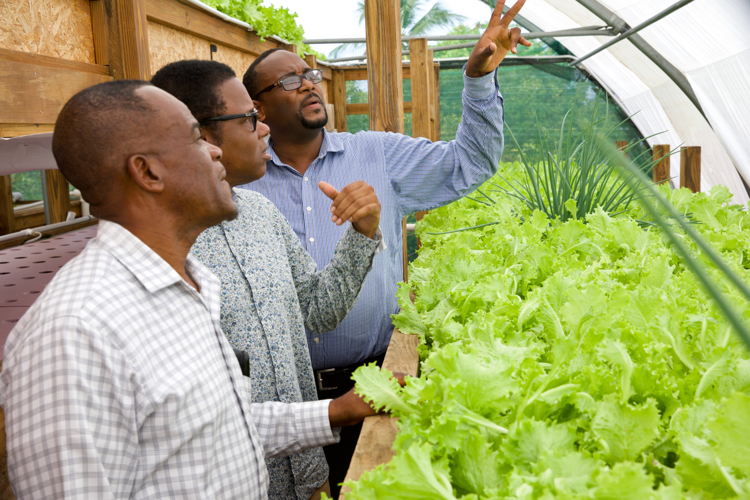Minister Dean Jonas and distinguished colleagues inspect crop production using aquaponics.