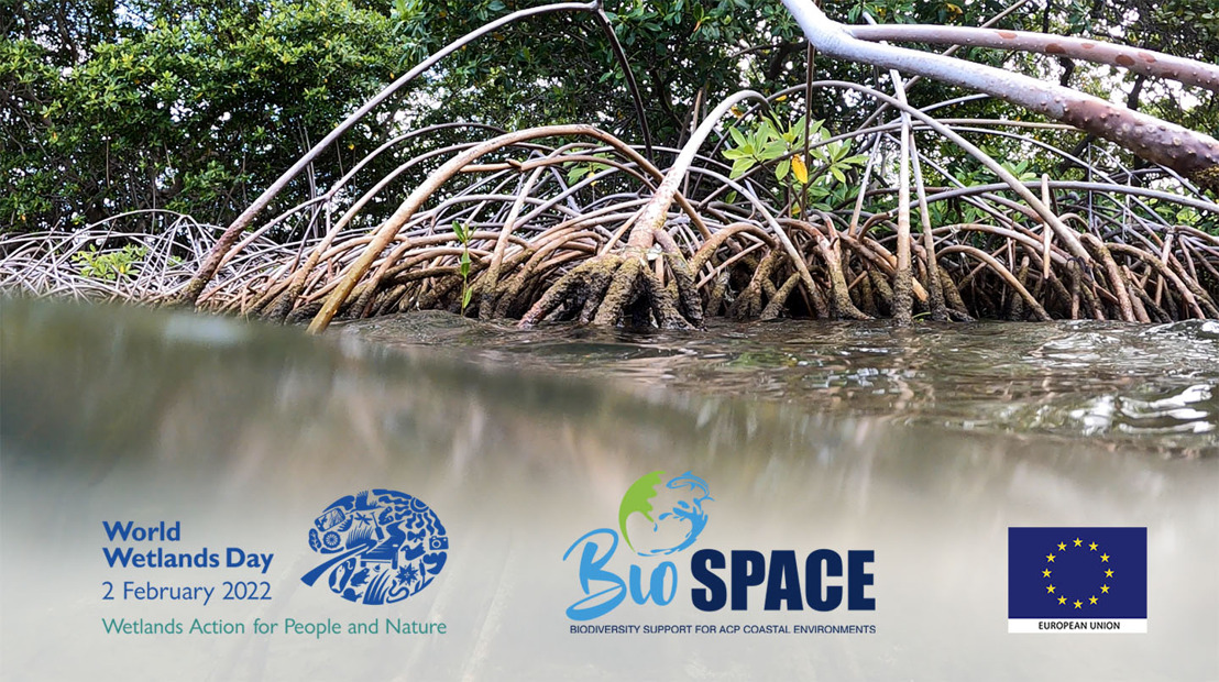 The OECS Recognises World Wetlands Day, 2022