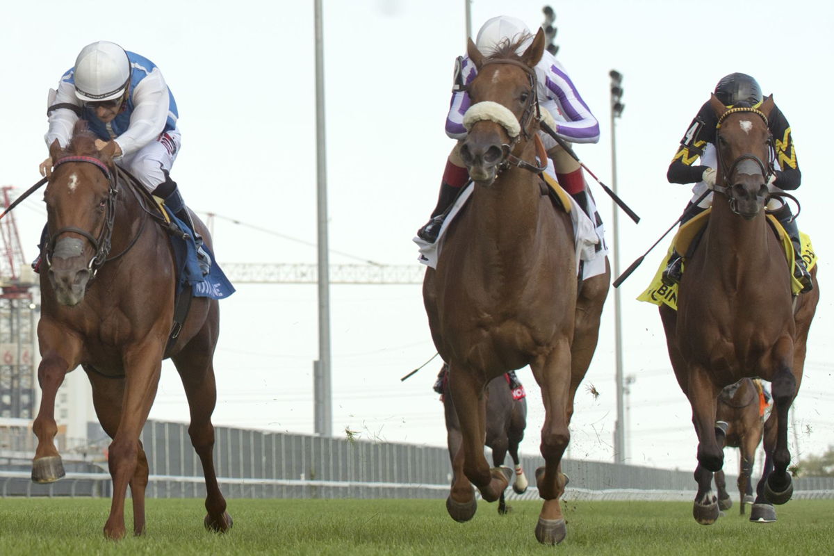 Alda, sister of Serifos, and jockey Steven Bahan winning the Catch A Glimpse Stakes in 2020 at Woodbine (Michael Burns Photo)