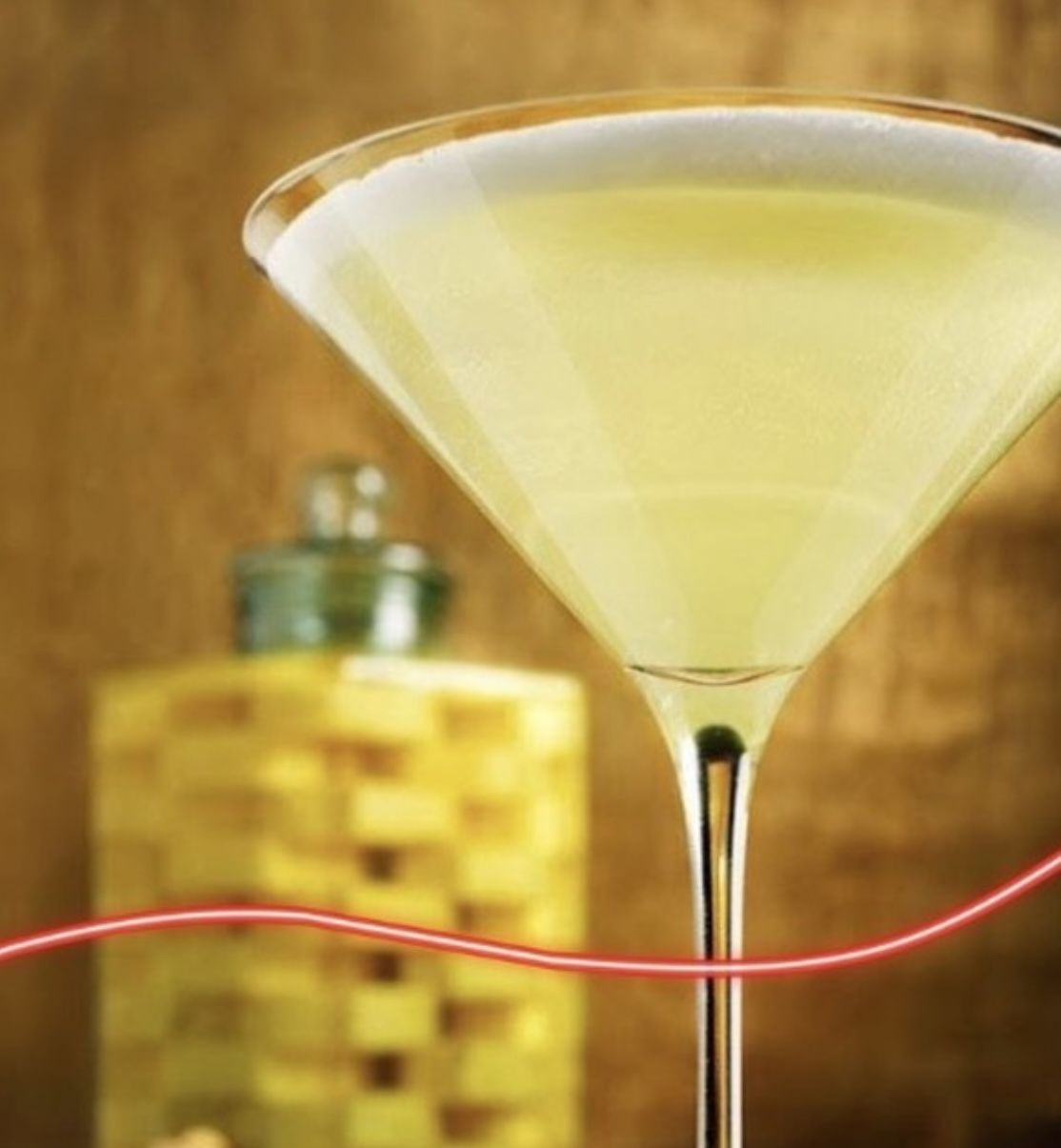 Stoli Tokyo Dry Martini con Stoli Premium
