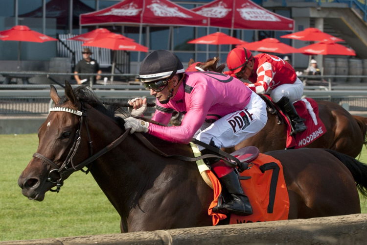 Wakanaka and jockey Rafael Hernandez winning the 2022 Grade 2 Dance Smartly Stakes at Woodbine (Michael Burns Photo)