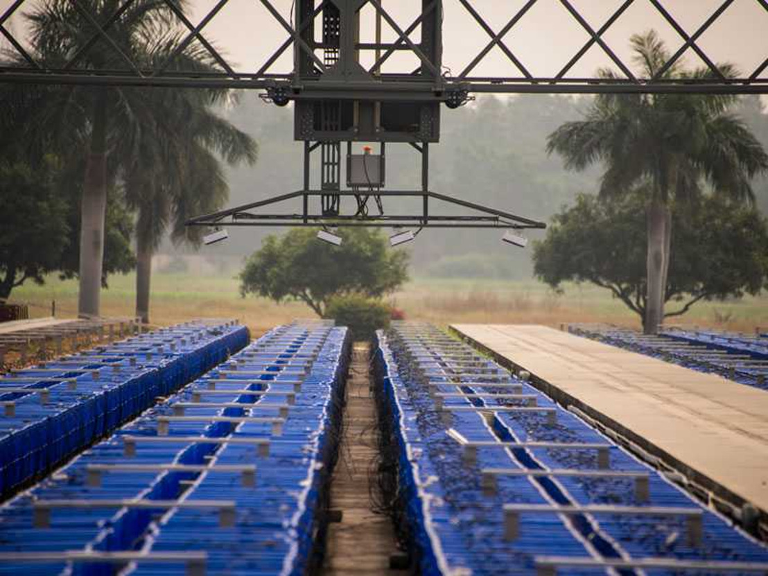 Unleashing the Power of Innovation at ICRISAT: Advancing Crop Breeding with Breakthrough Technologies