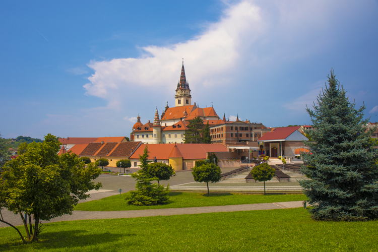 © Zoran Jelaca