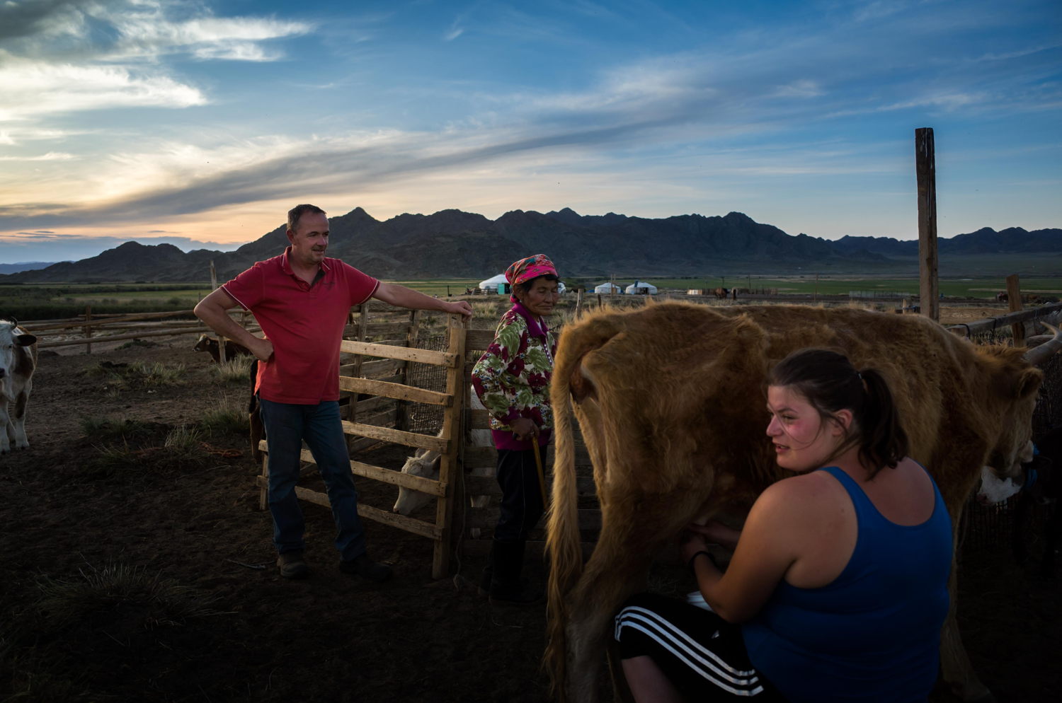 Beroepen zonder grenzen: Veeboeren in Mongolië