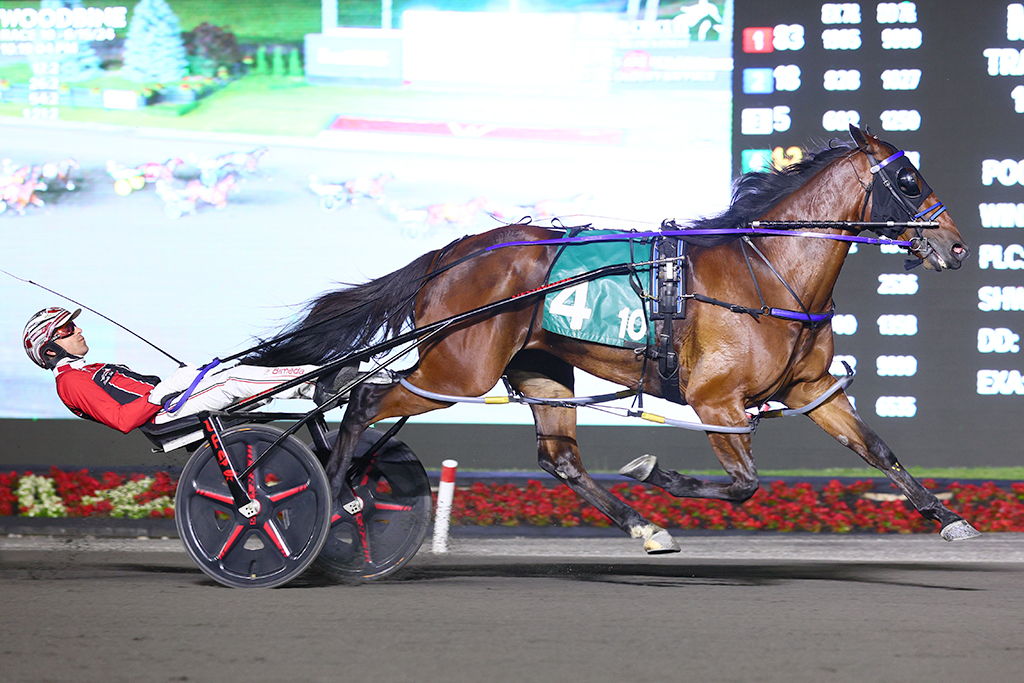 Twin B Joe Fresh winning the Roses Are Red on June 15. (New Image Media)