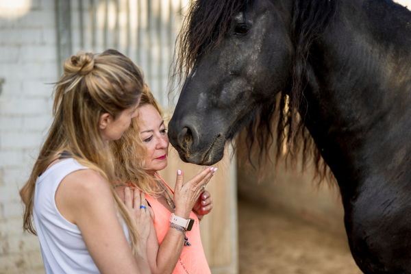 Dieren in de zorg: Thomas More geeft het een professioneel kader