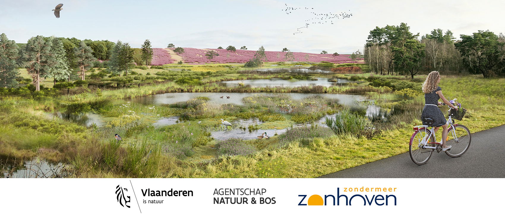 Inrichtingswerken op de Teut voor een duurzaam natuurbeheer