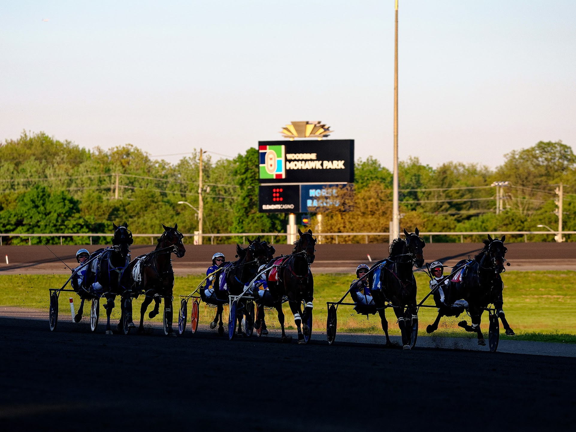 Woodbine encourages trainers to use Online Entry System