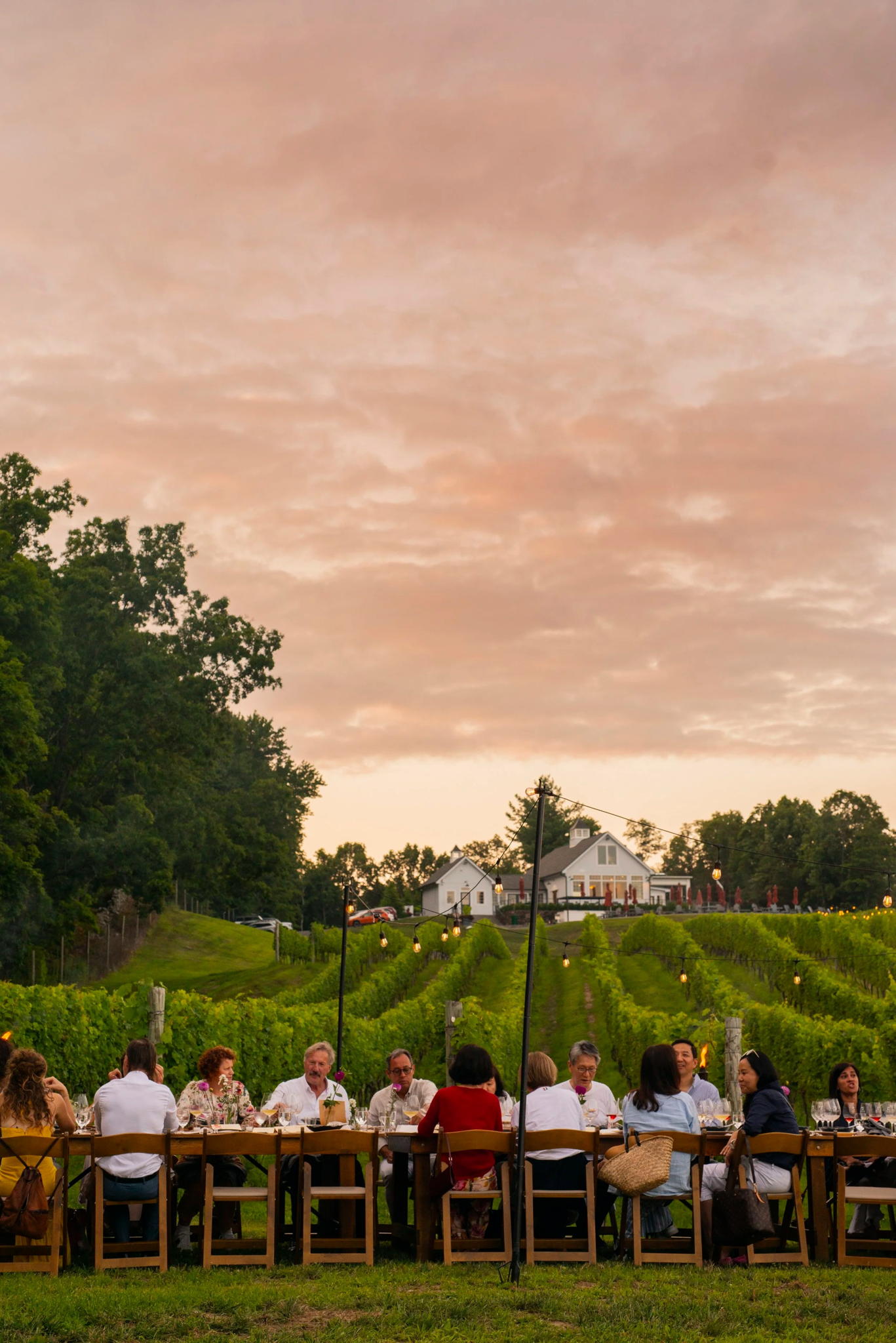 Milea Estate Vineyard