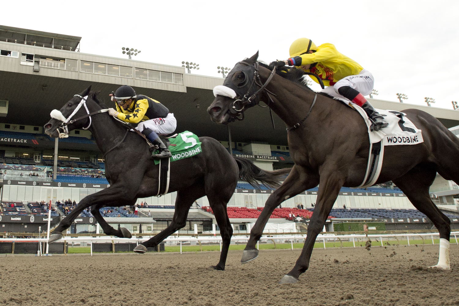Church and State and jockey Rafael Hernandez winning the King Corrie stakes on May 18, 2025 at Woodbine (Michael Burns Photo)