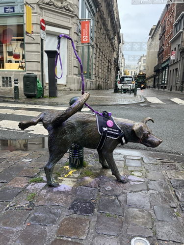 Zinneke Pis aka 'Dog' van de Wetenschap.