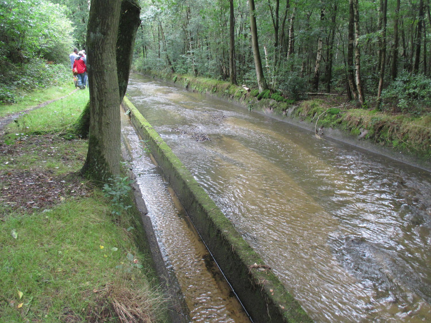 de Schabeek naast de Stiemerbeek