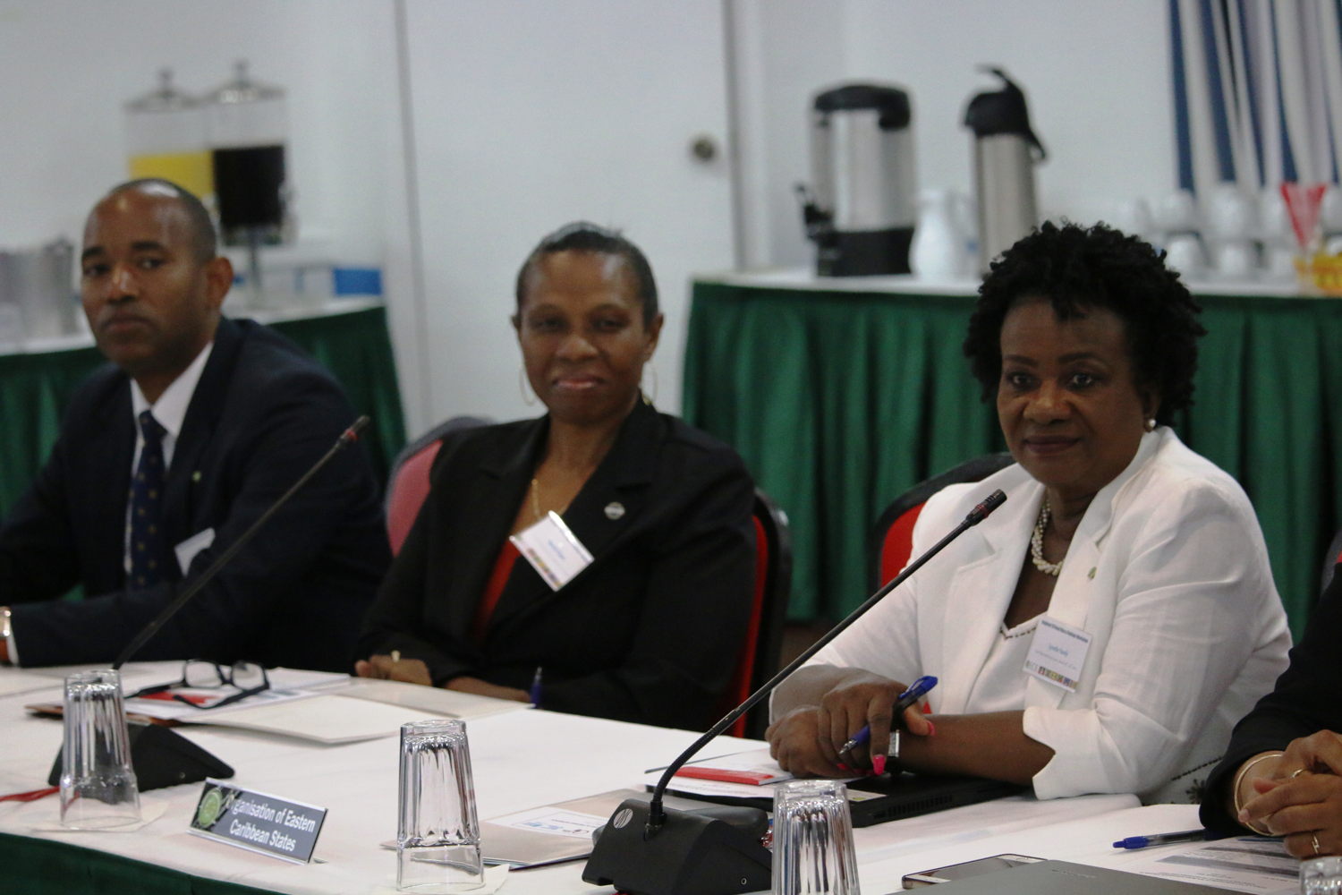 OECS TB/HIV Elimination delegation.