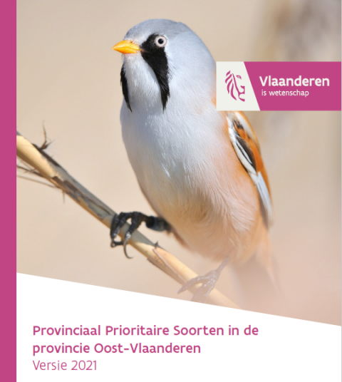 coverfoto rapport provinciaal prioritaire soorten met foto baardmannetje