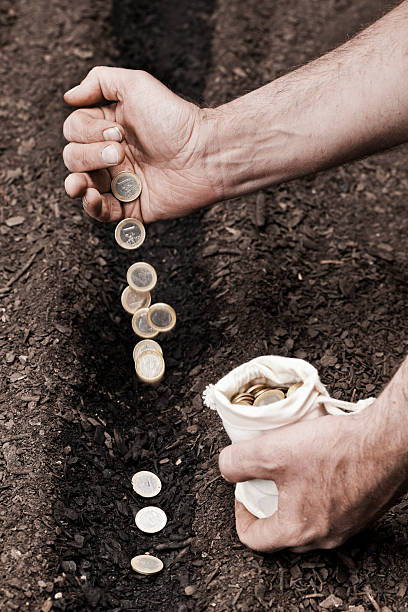 Seeds of Opportunity: The African Growth Series