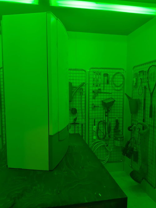 Escape Room