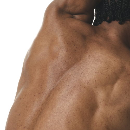 2024-03-12-ORD-BodyCare-Human-BodyScape-NoProduct-B-01-1x1 2024-03-12-ORD-BodyCare-Human-BodyScape-NoProduct-B-01-1x1