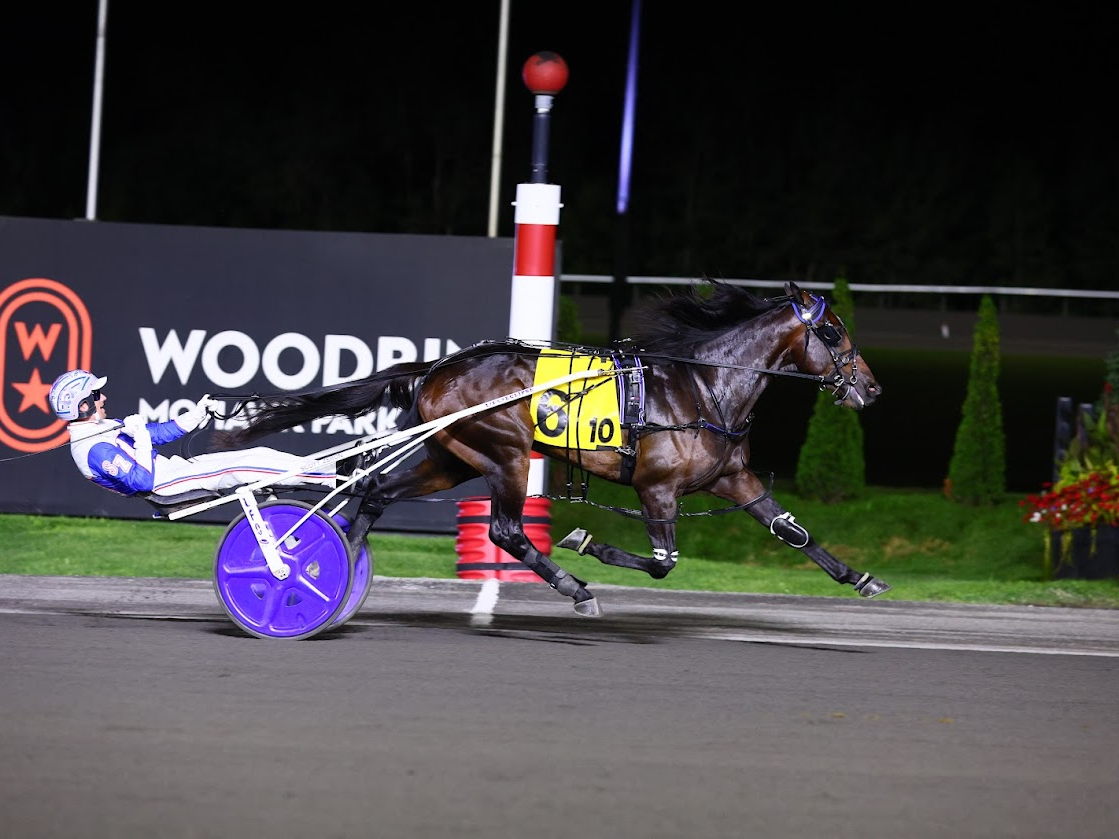Ardonne Dominant, Equals Stake Record in William Wellwood Memorial