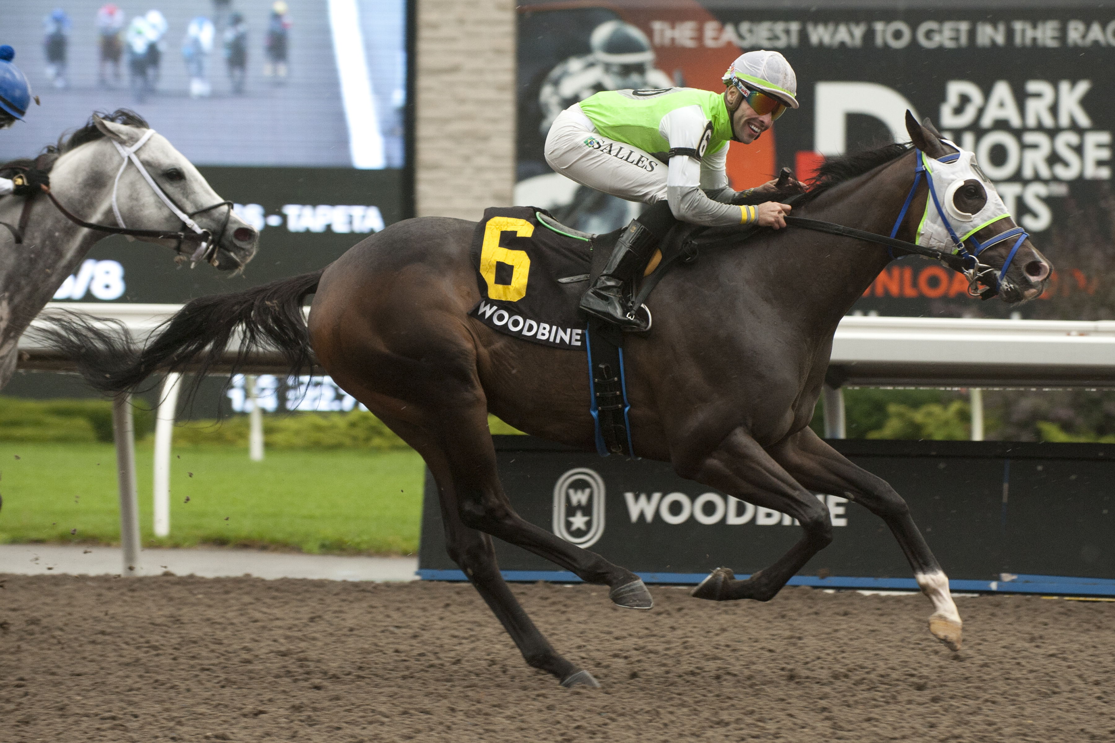 Lucky Score and jockey Leo Salles winning the Vigil Stakes on Sunday at Woodbine. (Michael Burns Photo)