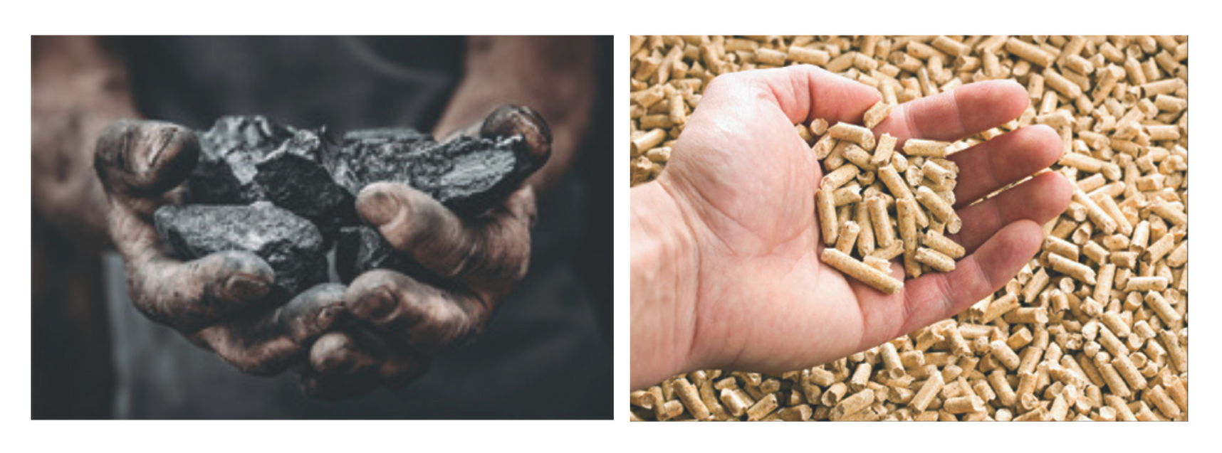 From coal to biomass, we integrate sustainability into our packaging business. From coal to biomass, we integrate sustainability into our packaging business.
