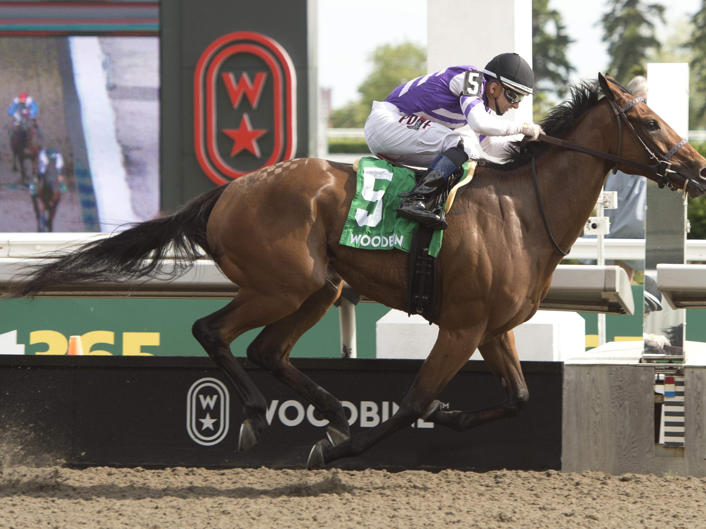 Serendipity strolls to Grade 3 Selene score