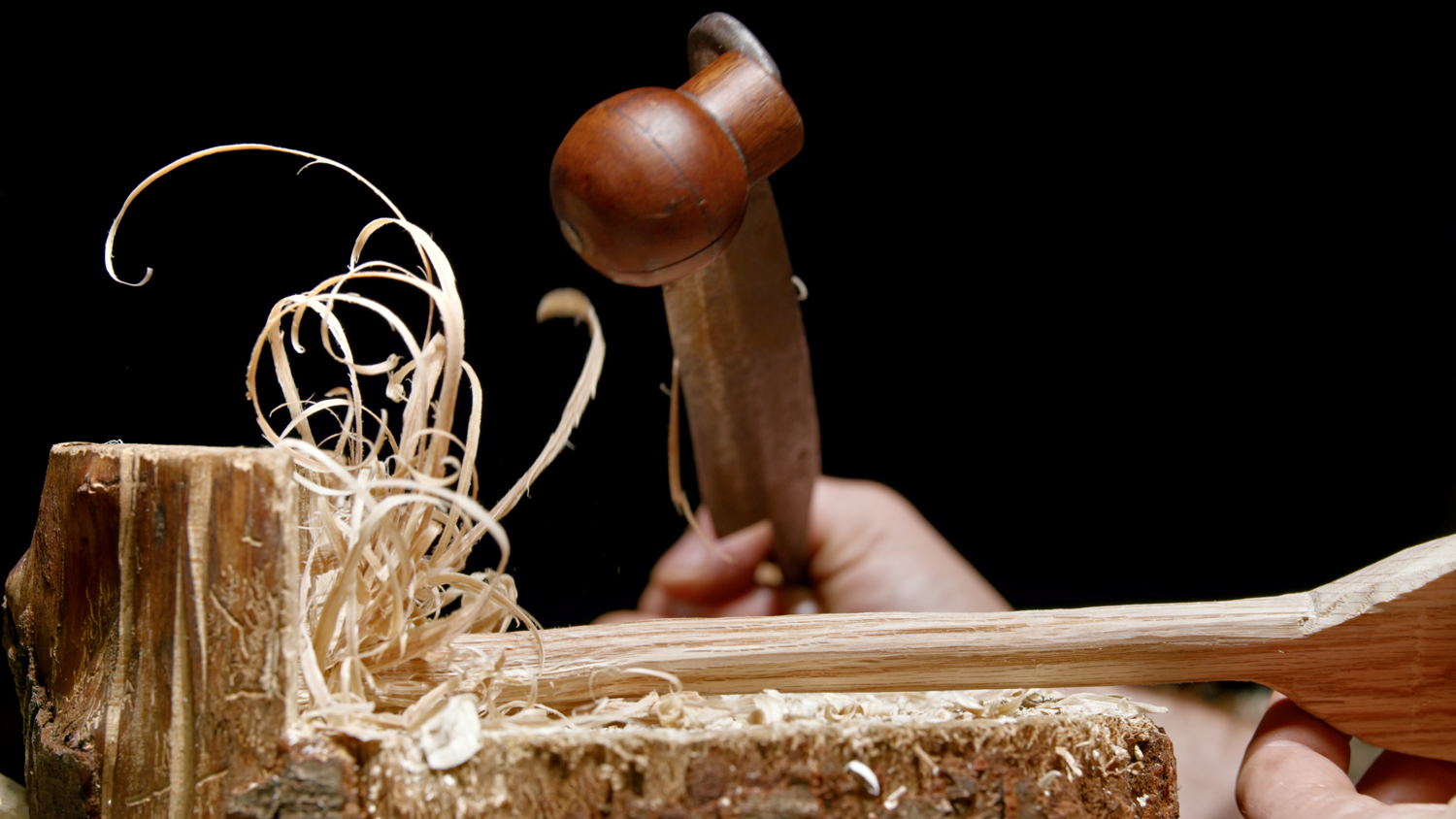 David Claerbout, The Woodcarver and the Forest, 2025, filmstill