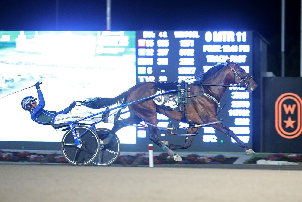 It was picture time for Pebble Beach and driver Todd McCarthy in the North America Cup at Woodbine Mohawk Park. (New Image Media)