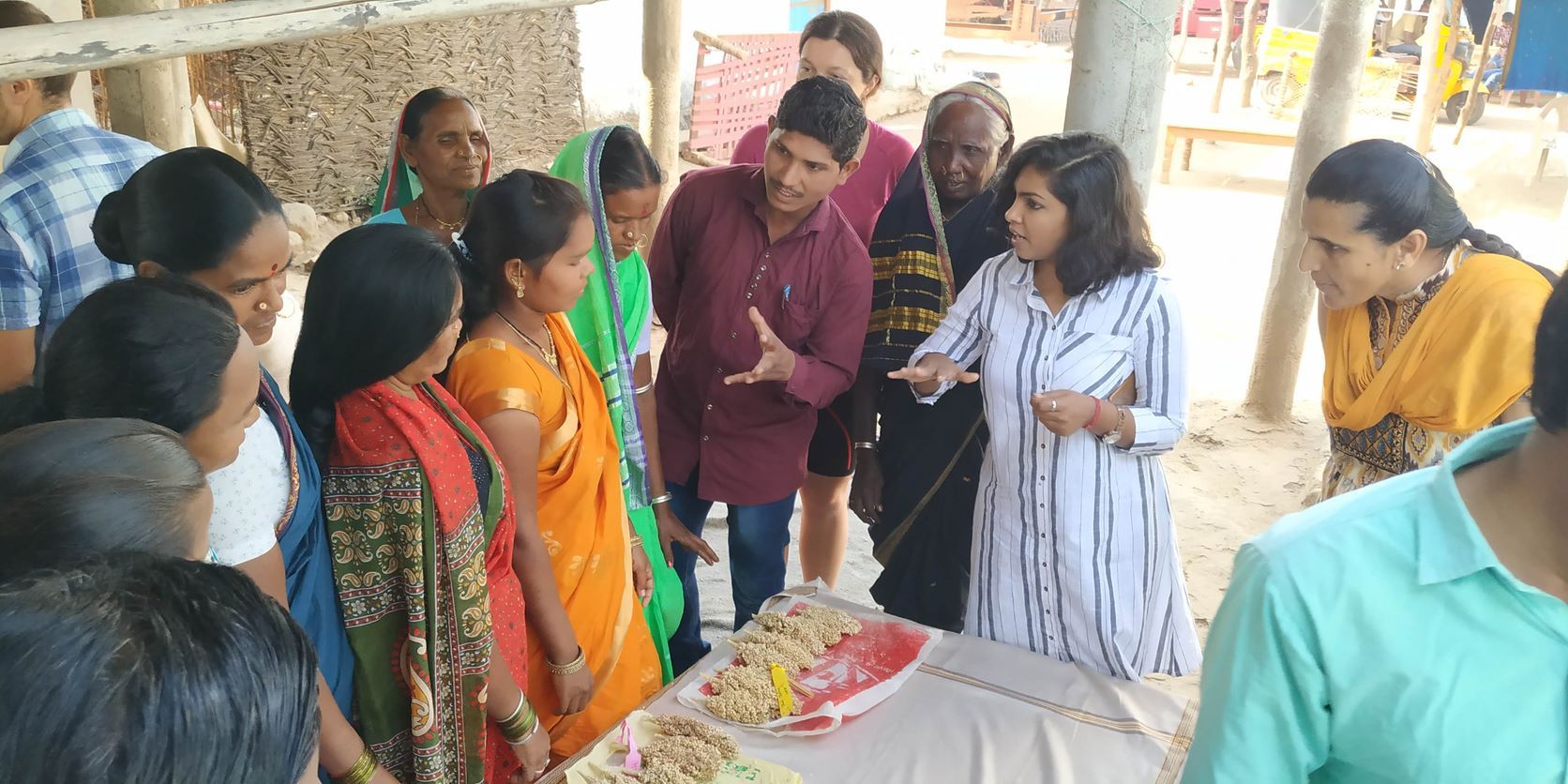 Tribal women from Adilabad score different sorghum panicles for grain-related traits.